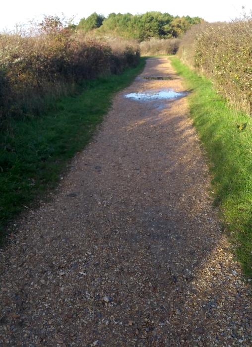 Path through Keyhaven Marshes