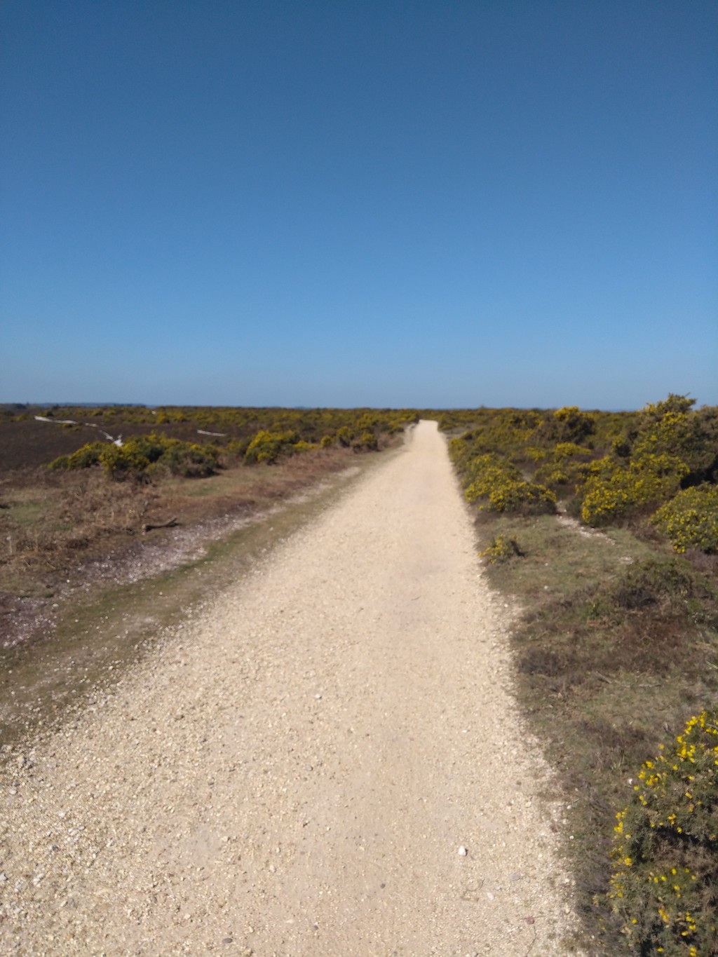 The road ahead (no filters, I swear!)